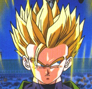 26gohan.jpg